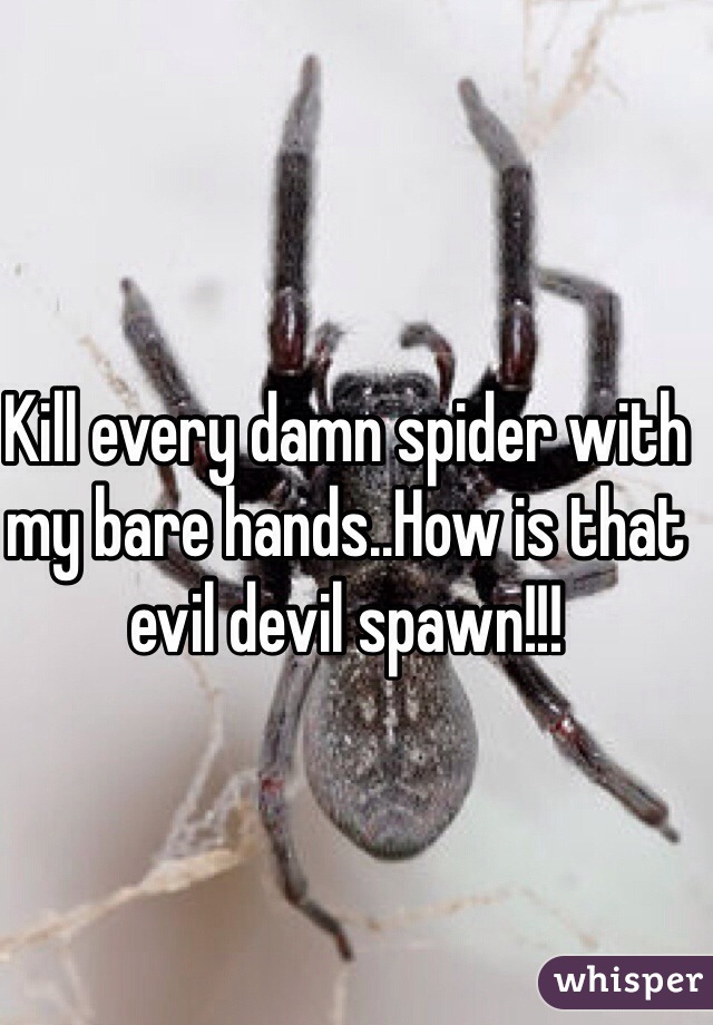 Kill every damn spider with my bare hands..How is that evil devil spawn!!! 