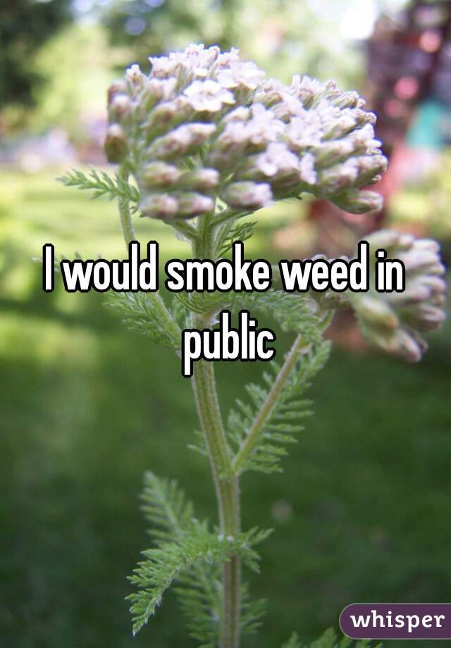 I would smoke weed in public