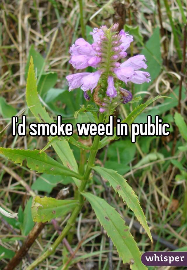 I'd smoke weed in public 