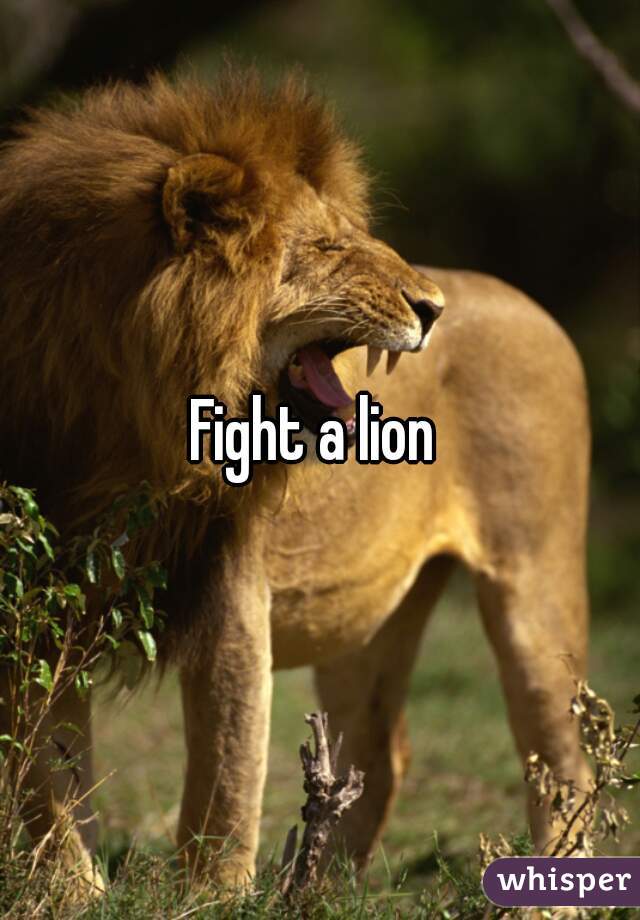 Fight a lion 