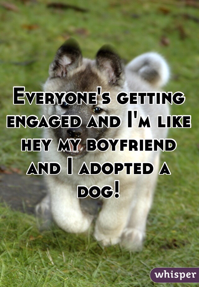 Everyone's getting engaged and I'm like hey my boyfriend and I adopted a dog!