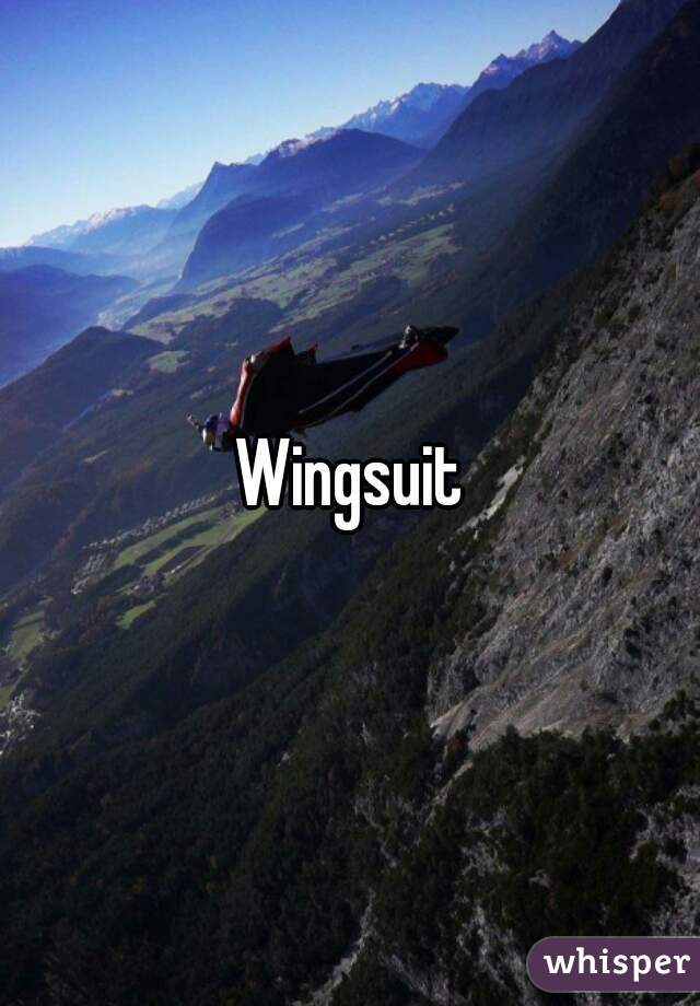 Wingsuit