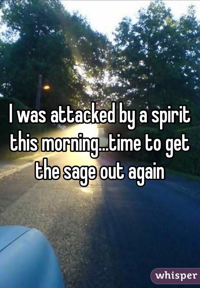 I was attacked by a spirit this morning...time to get the sage out again 