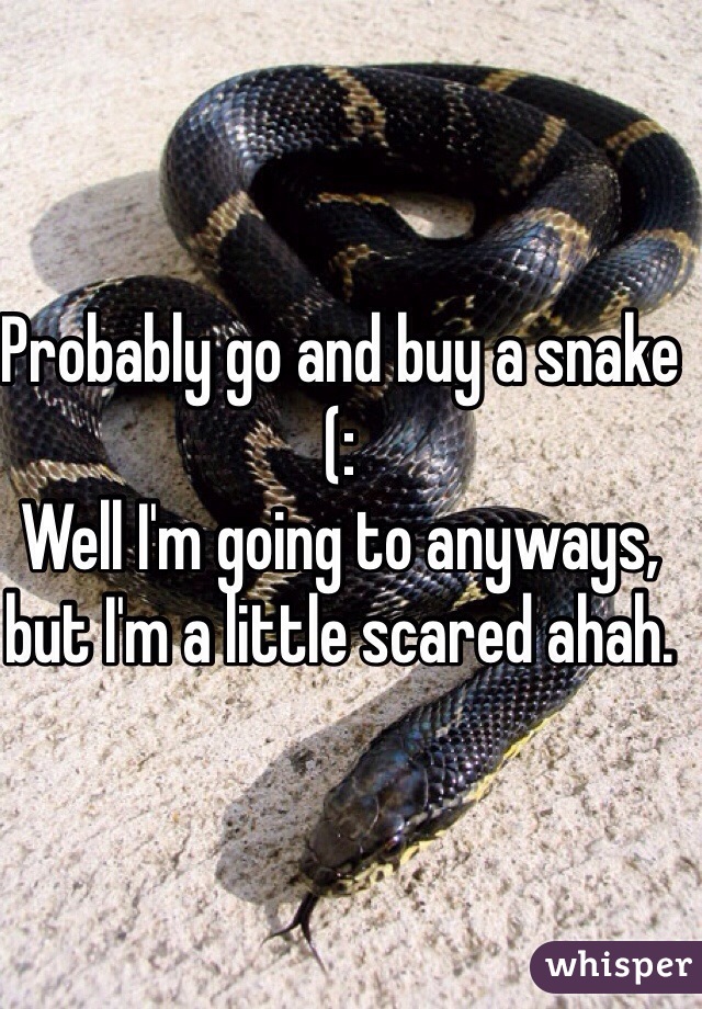 Probably go and buy a snake (:
Well I'm going to anyways, but I'm a little scared ahah. 