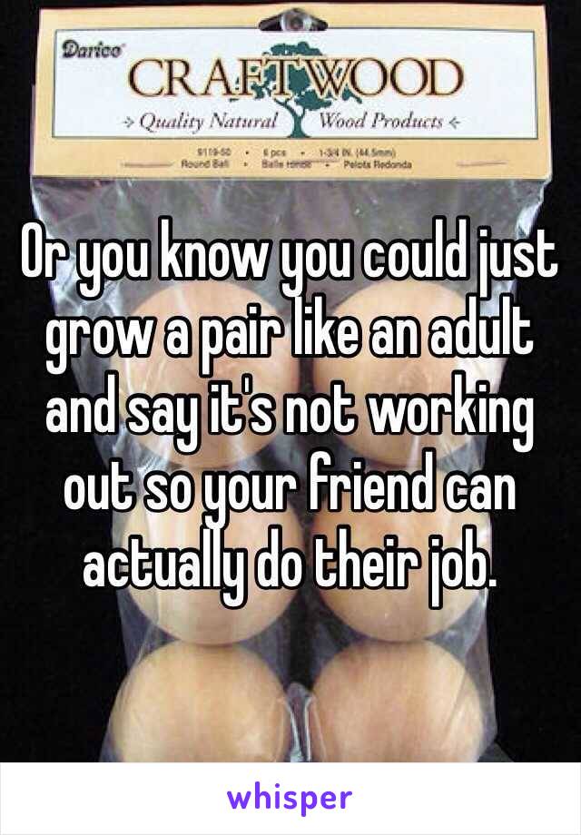 Or you know you could just grow a pair like an adult and say it's not working out so your friend can actually do their job.