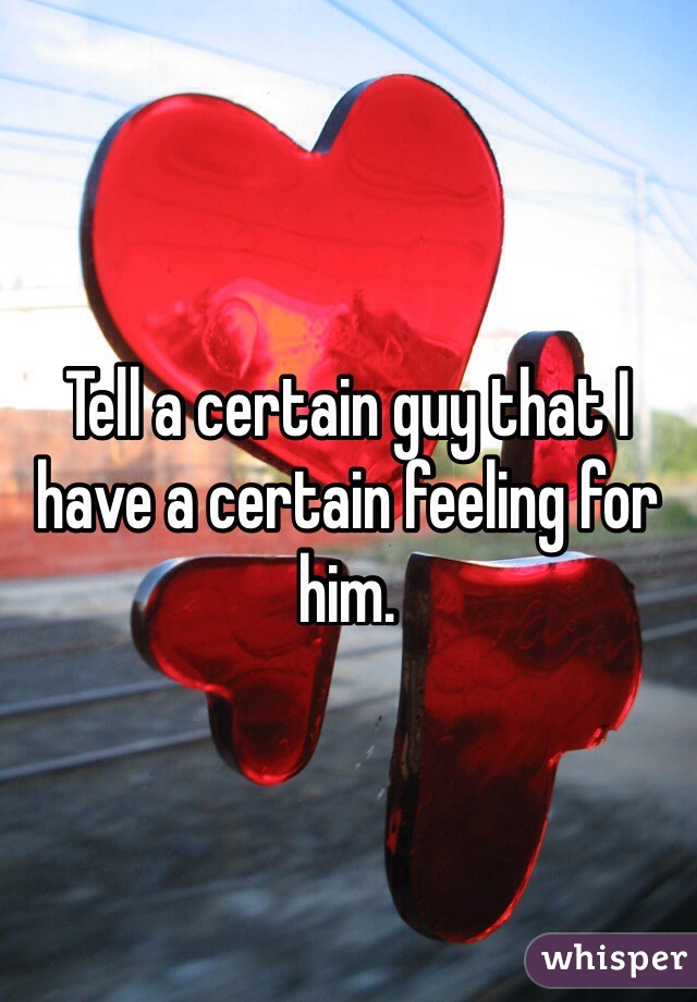 Tell a certain guy that I have a certain feeling for him.