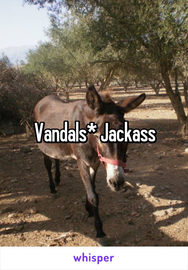 Vandals* Jackass