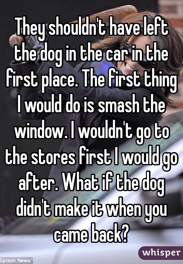 They shouldn't have left the dog in the car in the first place. The first thing I would do is smash the window. I wouldn't go to the stores first I would go after. What if the dog didn't make it when you came back? 