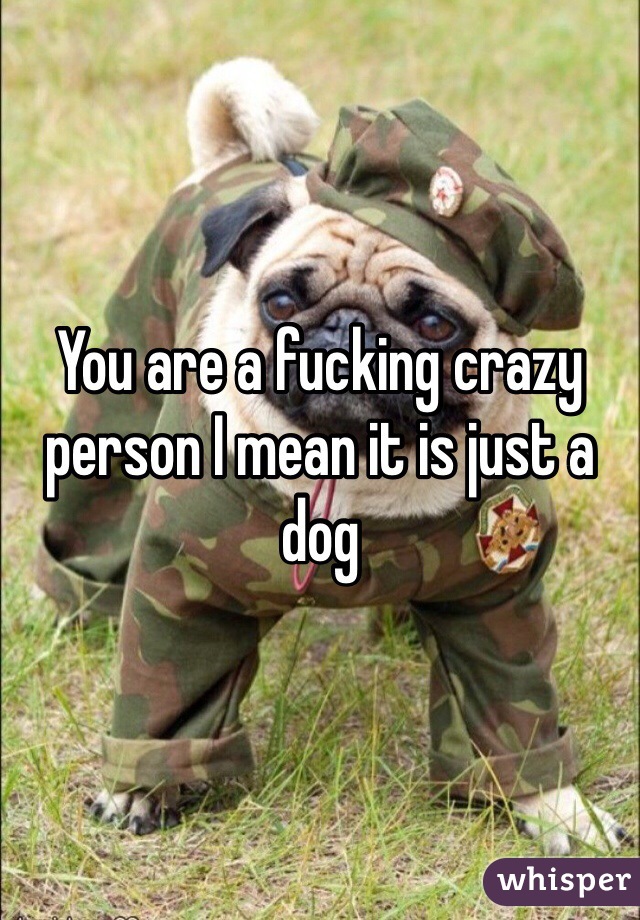You are a fucking crazy person I mean it is just a dog 