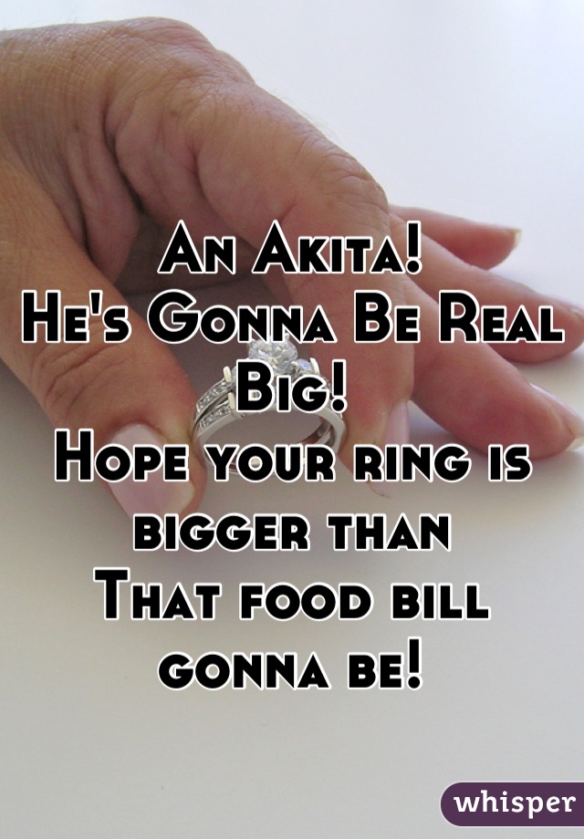 An Akita!
He's Gonna Be Real Big!
Hope your ring is bigger than 
That food bill gonna be!