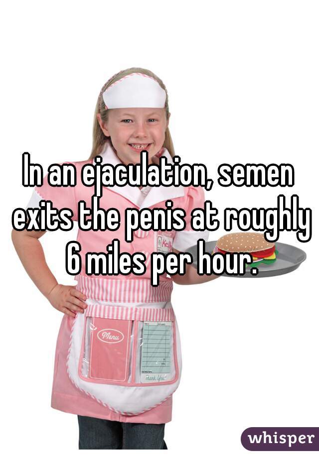 In an ejaculation, semen exits the penis at roughly 6 miles per hour.