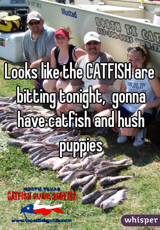 Looks like the CATFISH are bitting tonight,  gonna have catfish and hush puppies
