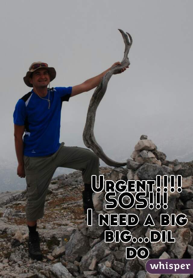 Urgent!!!!
SOS!!!
I need a big big...dildo