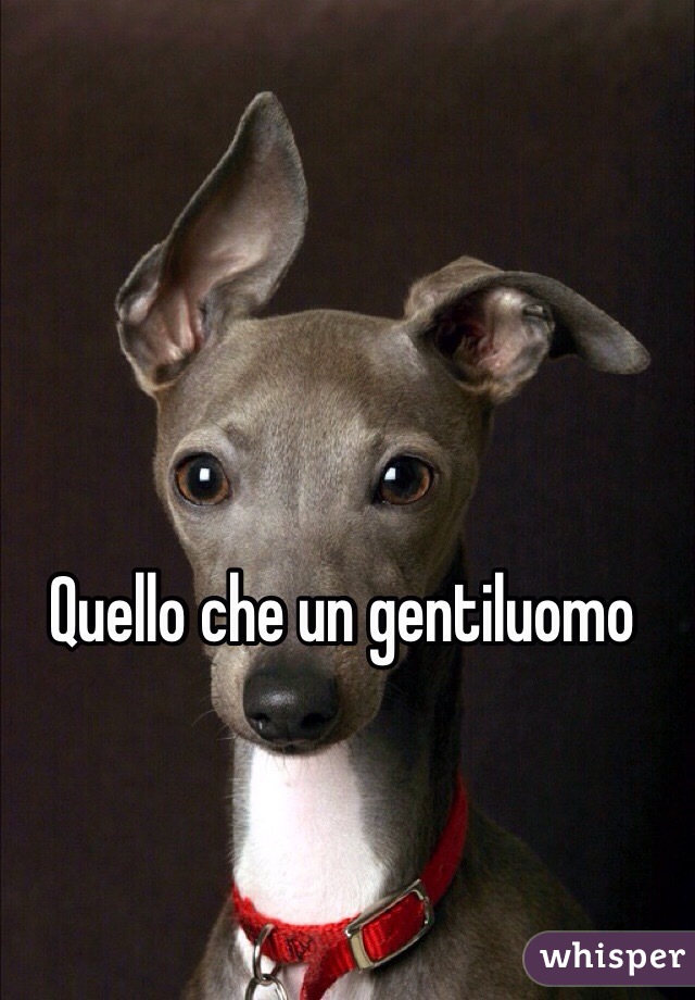 Quello che un gentiluomo