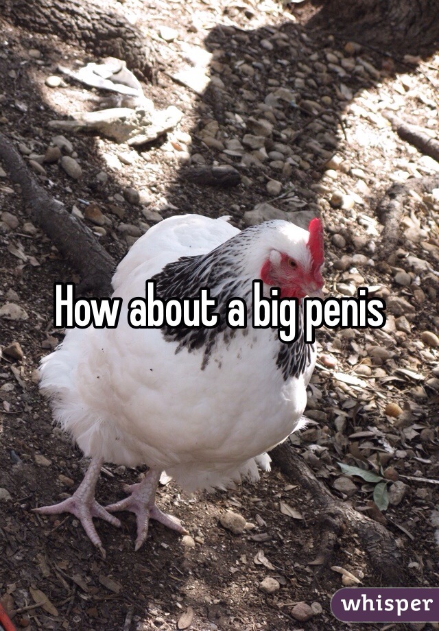How about a big penis 