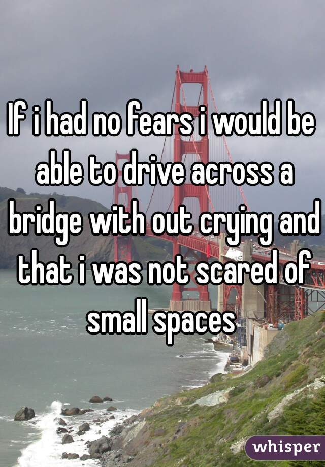 If i had no fears i would be able to drive across a bridge with out crying and that i was not scared of small spaces 