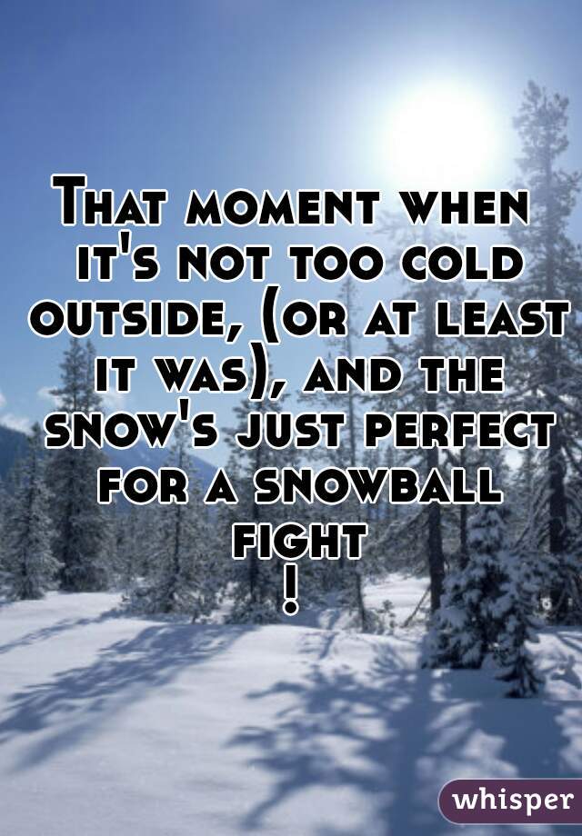 That moment when it's not too cold outside, (or at least it was), and the snow's just perfect for a snowball fight!
