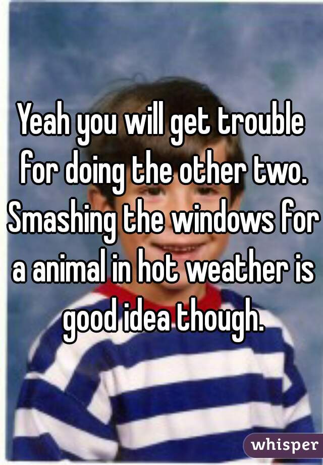 Yeah you will get trouble for doing the other two. Smashing the windows for a animal in hot weather is good idea though.