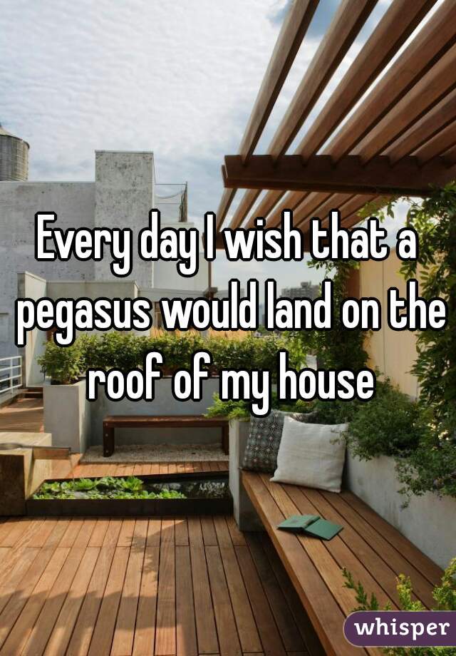 Every day I wish that a pegasus would land on the roof of my house
