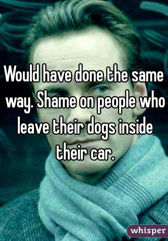 Would have done the same way. Shame on people who leave their dogs inside their car.