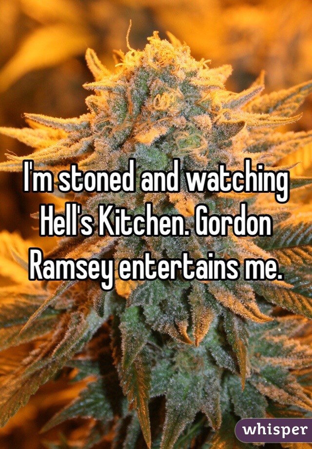 I'm stoned and watching Hell's Kitchen. Gordon Ramsey entertains me. 
