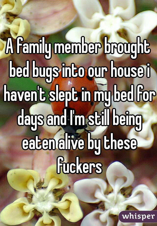 A family member brought bed bugs into our house i haven't slept in my bed for days and I'm still being eaten alive by these fuckers