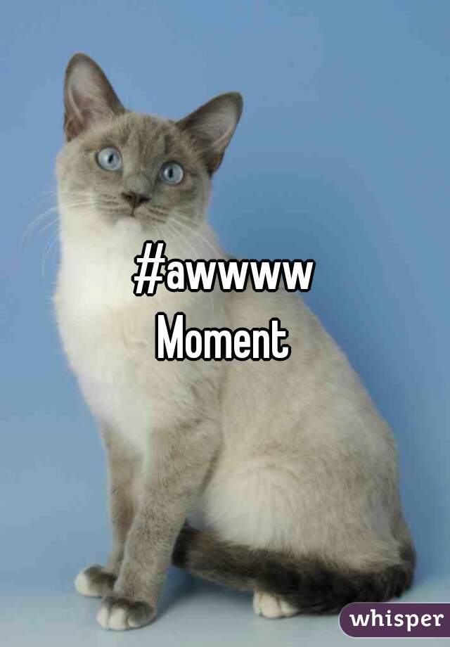#awwww
Moment