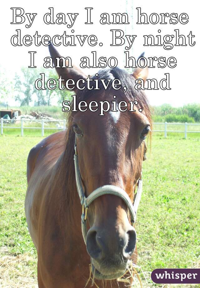 By day I am horse detective. By night I am also horse detective, and sleepier.