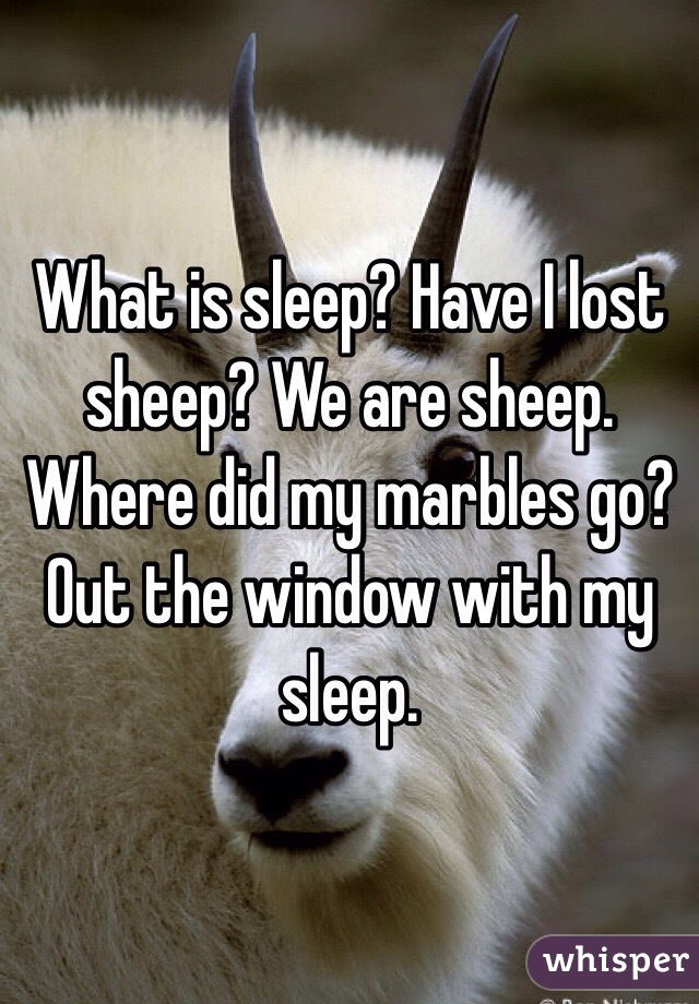 What is sleep? Have I lost sheep? We are sheep. Where did my marbles go? Out the window with my sleep.