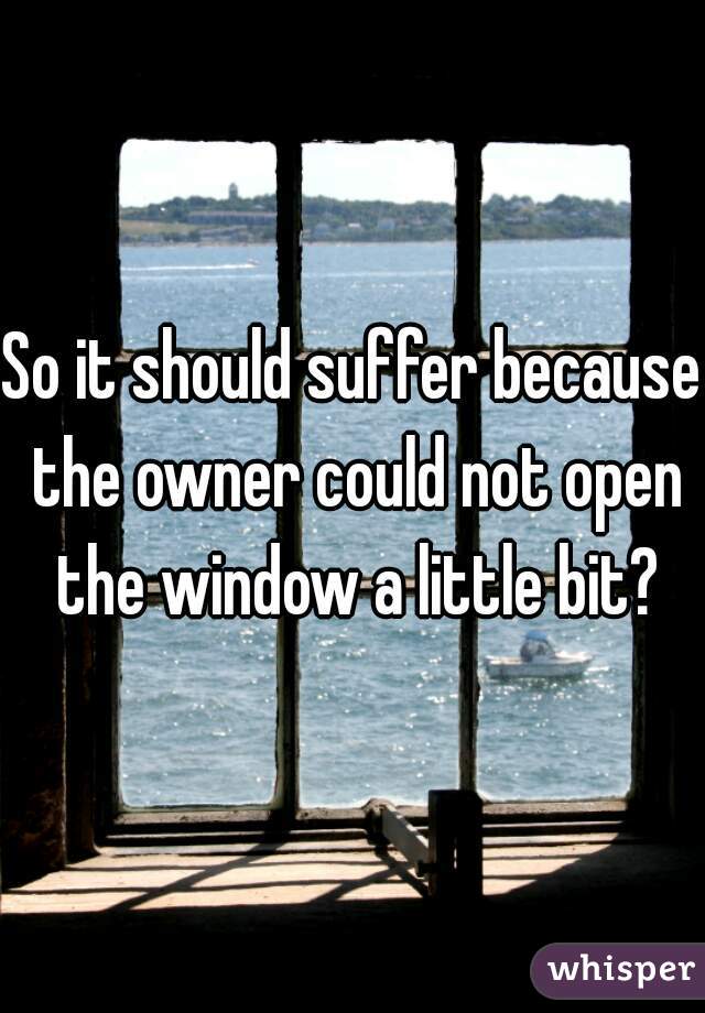 So it should suffer because the owner could not open the window a little bit?
