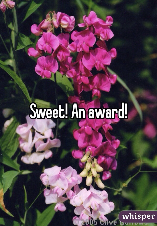 Sweet! An award!