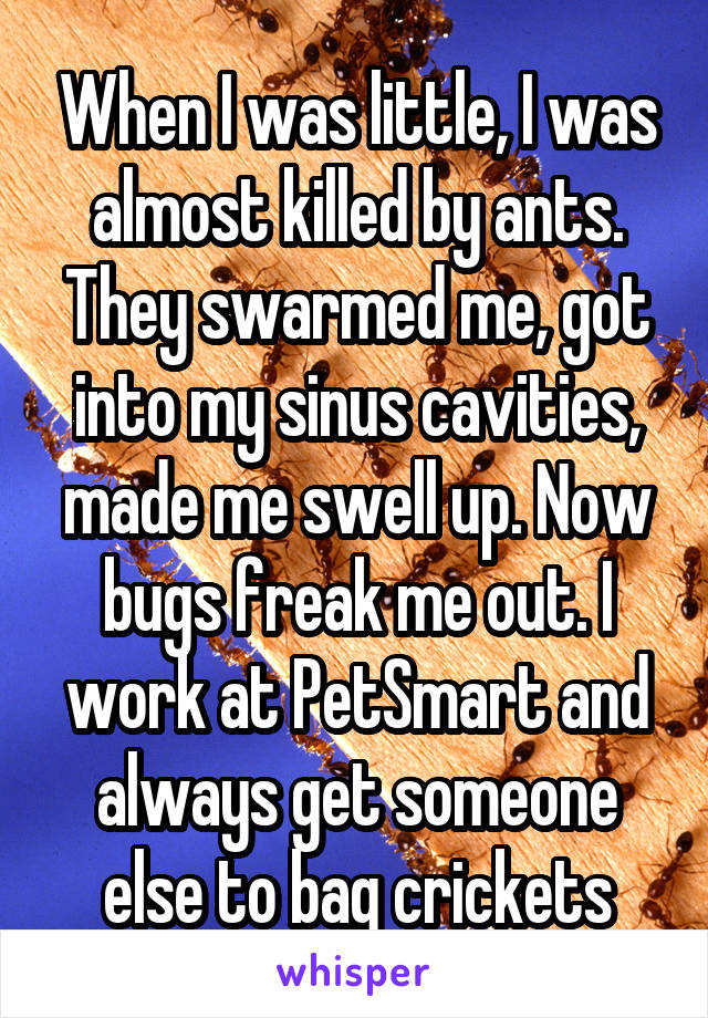 When I was little, I was almost killed by ants. They swarmed me, got into my sinus cavities, made me swell up. Now bugs freak me out. I work at PetSmart and always get someone else to bag crickets