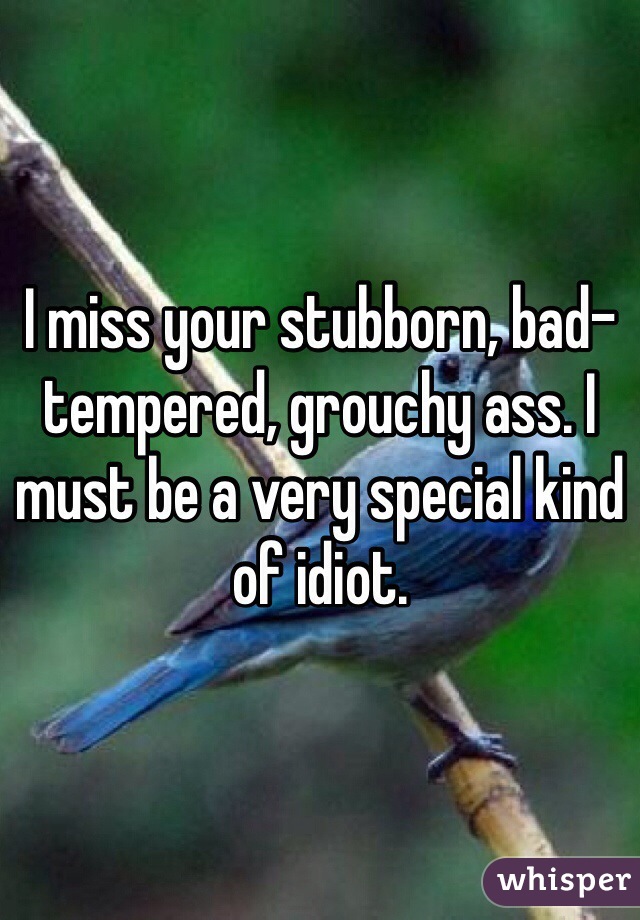 I miss your stubborn, bad-tempered, grouchy ass. I must be a very special kind of idiot.