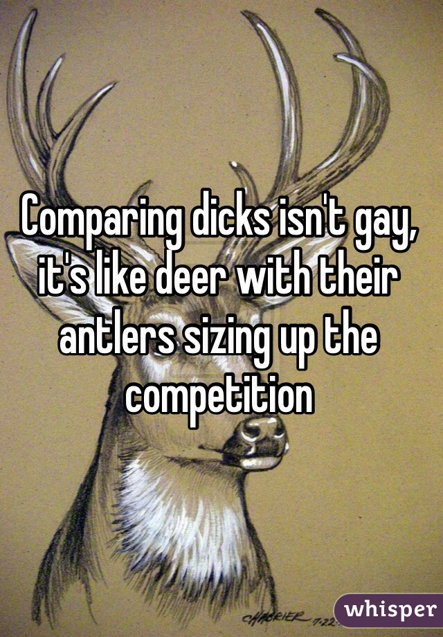 Comparing dicks isn't gay, it's like deer with their antlers sizing up the competition