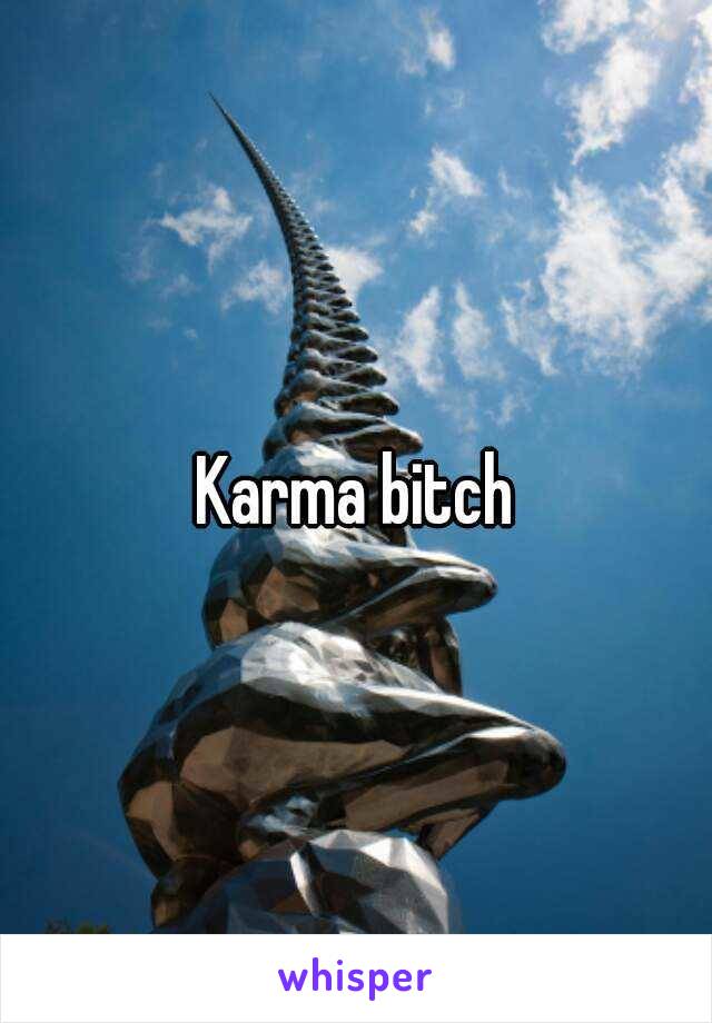 Karma bitch