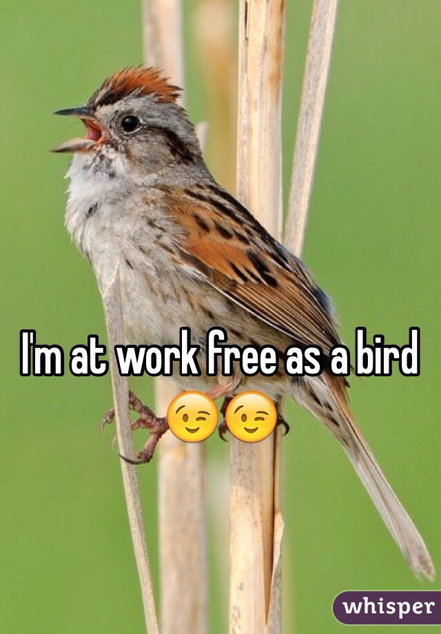 I'm at work free as a bird 😉😉