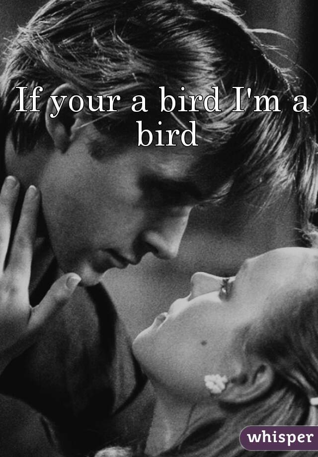 If your a bird I'm a bird