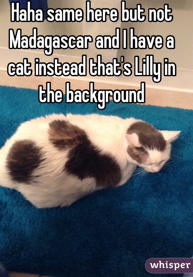 Haha same here but not Madagascar and I have a cat instead that's Lilly in the background  