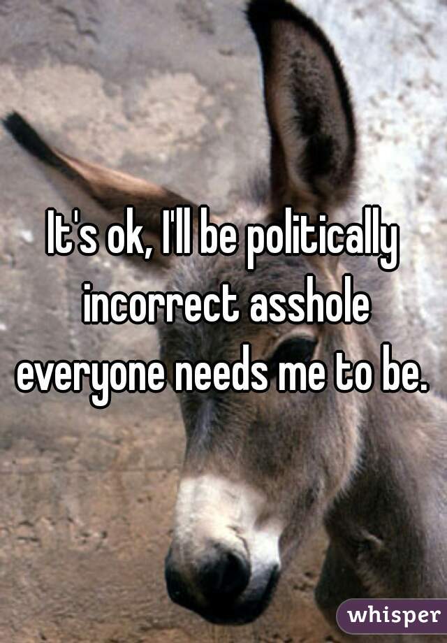 It's ok, I'll be politically incorrect asshole everyone needs me to be. 
