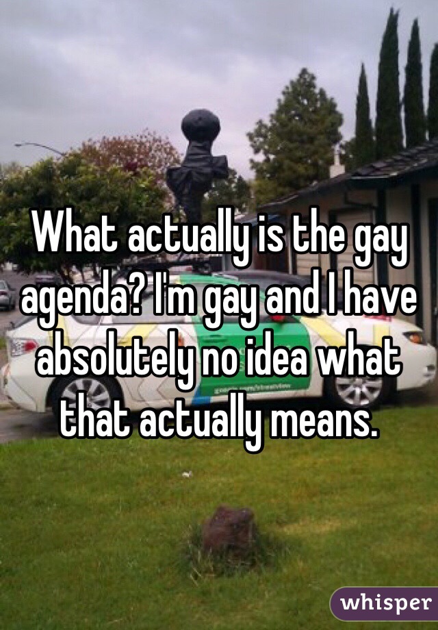 What actually is the gay agenda? I'm gay and I have absolutely no idea what that actually means.