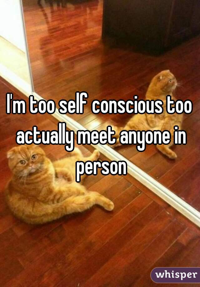 I'm too self conscious too actually meet anyone in person