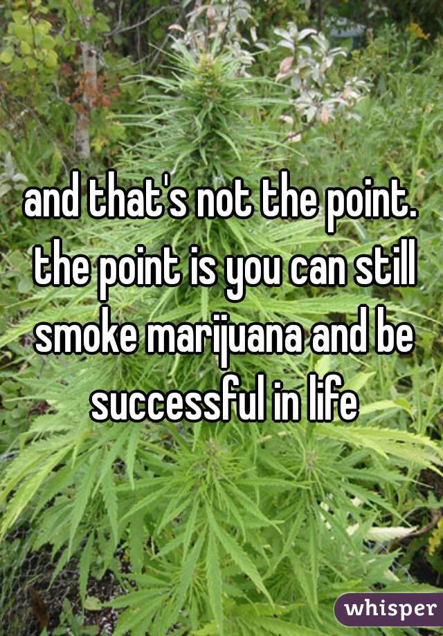 and that's not the point. the point is you can still smoke marijuana and be successful in life