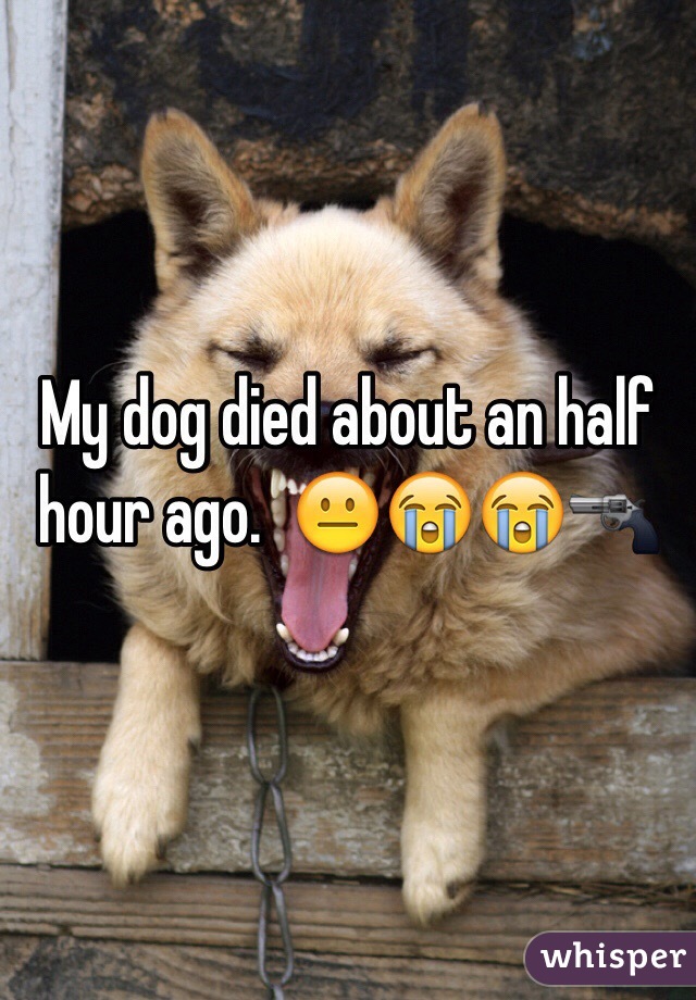 My dog died about an half hour ago.  😐😭😭🔫