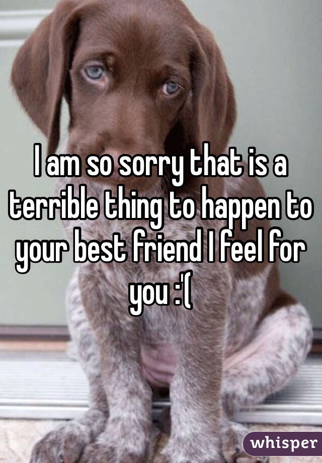 I am so sorry that is a terrible thing to happen to your best friend I feel for you :'(