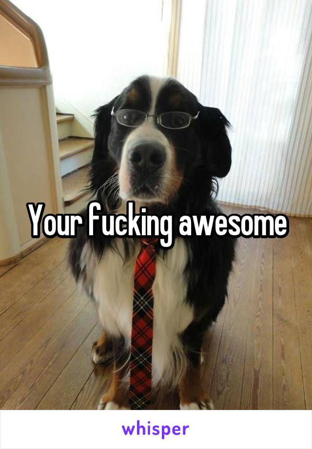 Your fucking awesome