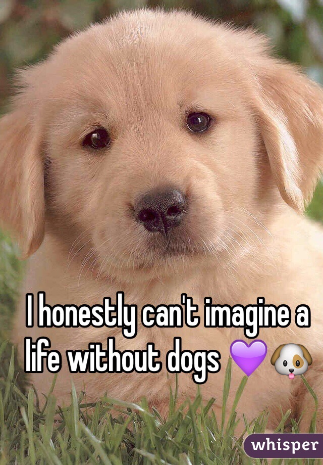 I honestly can't imagine a life without dogs 💜🐶
