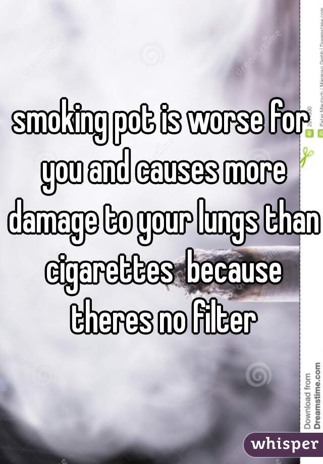 smoking pot is worse for you and causes more damage to your lungs than cigarettes  because theres no filter
