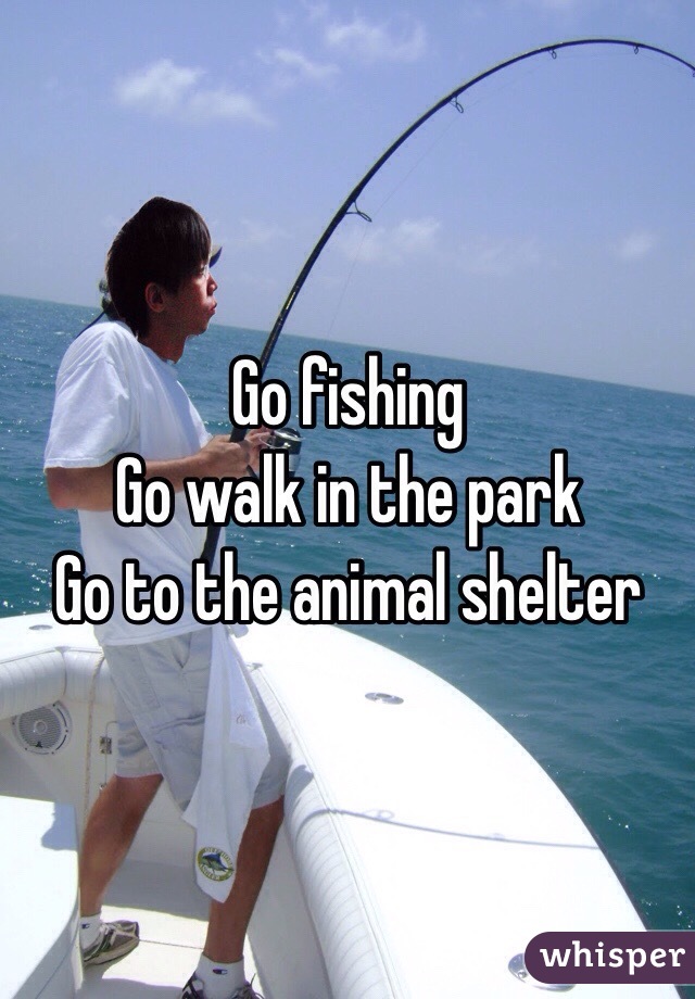 Go fishing 
Go walk in the park
Go to the animal shelter 