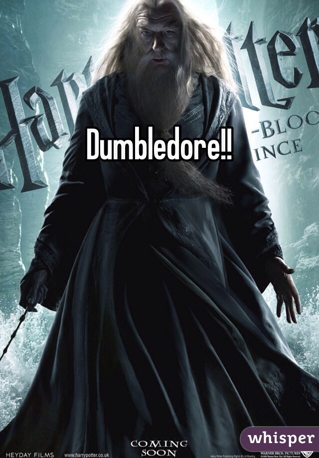 Dumbledore!!