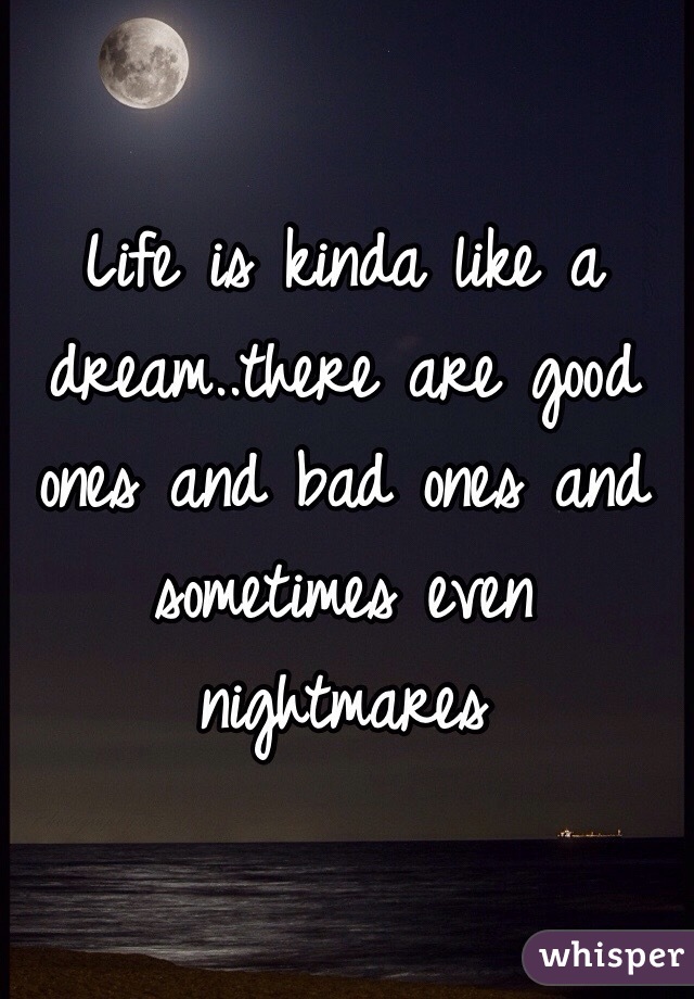 Life is kinda like a dream..there are good ones and bad ones and sometimes even nightmares